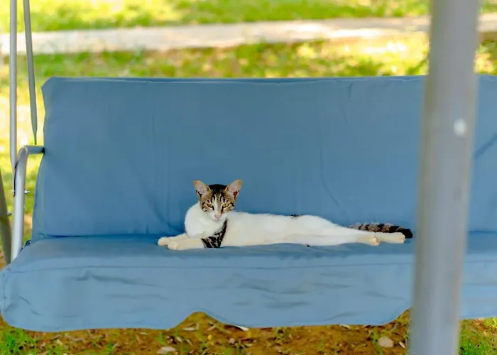 Nature Lovers-golden Διαμέρισμα